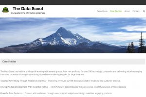 Data Scout Case Study Webpage Screenshot